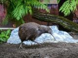 Foto: ZOO a zámek Zlín - Lešná