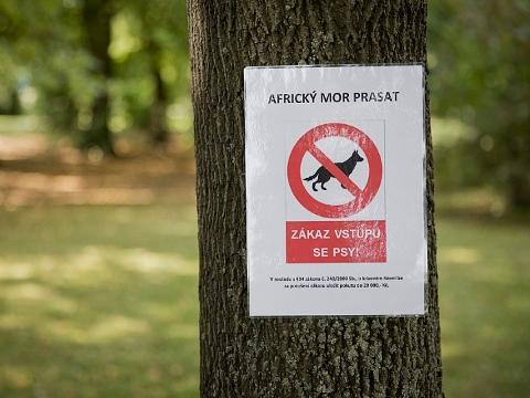 Foto: MěÚ Zlín