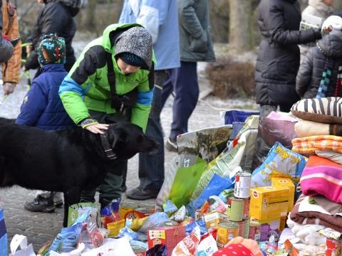 Ilustrační foto (Foto: MěÚ Zlín)