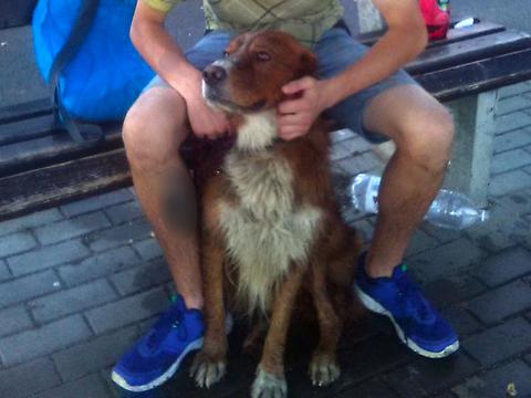 Foto: Městská policie Zlín