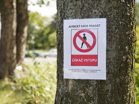 Foto: Jiří Balát