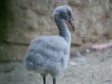 Foto: Archiv ZOO Zlín
