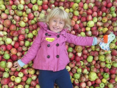 Ilustrační foto (Foto: www.jablecnaslavnost.cz)