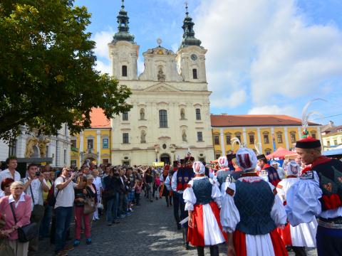 Ilustrační foto (Foto: CCRVM)