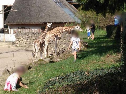 Foto: ZOO a zámek Zlín - Lešná