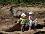 Ilustrační foto (Foto: ZOO a zámek Zlín - Lešná)