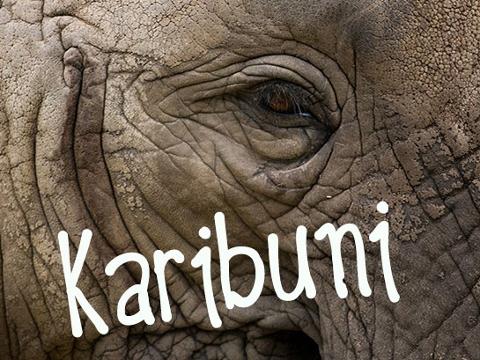 Ilustrační foto (Foto: ZOO a zámek Zlín - Lešná)