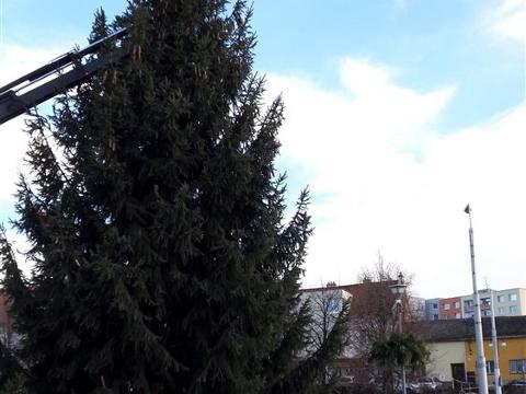 Ilustrační foto (Foto: MěÚ Otrokovice)