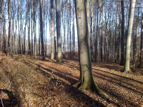 Ilustrační foto (Foto: MěÚ Zlín)