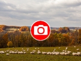 Foto: Farma Rudimov