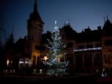 Vánoční strom v ZOO (Foto: ZOO a zámek Zlín - Lešná)