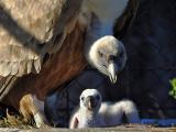 foto: archiv Zoo Zlín