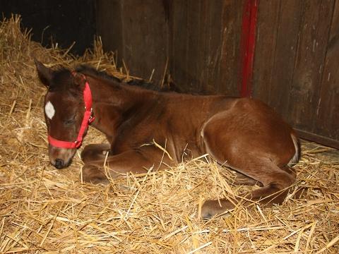 Foto: www.napajedlastud.cz