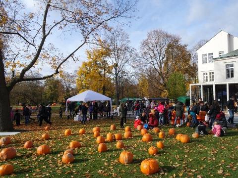 Ilustrační foto (Foto: MěÚ Zlín)
