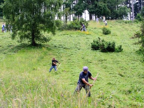 Tradiční kosení a škola ochrany přírody Valašskoklobucka (Foto: Petr Kucka)