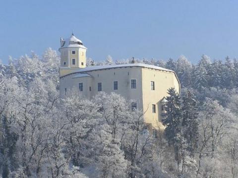 Hrad Malenovice (Foto: www.hrad-malenovice.cz)