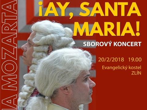 Ilustrační foto (Foto: Czech Ensemble Baroque)