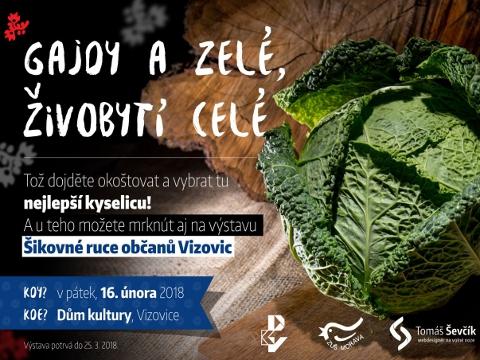 Ilustrační foto (Foto: MěÚ Vizovice)