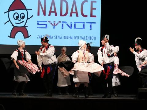 Ilustrační foto (Foto: Nadace Synot)