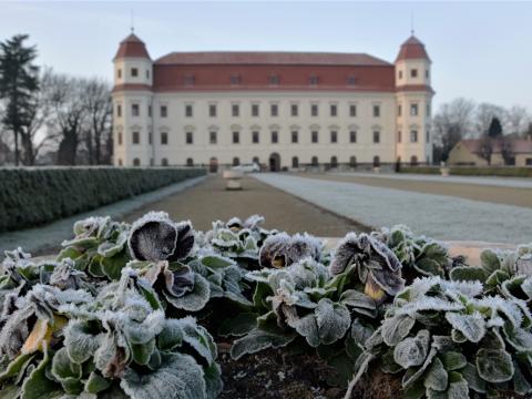 Zámek Holešov (Foto: Městské kulturní středisko Holešov)