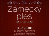 Ilustrační foto (Foto: MěÚ Valašské Meziříčí)