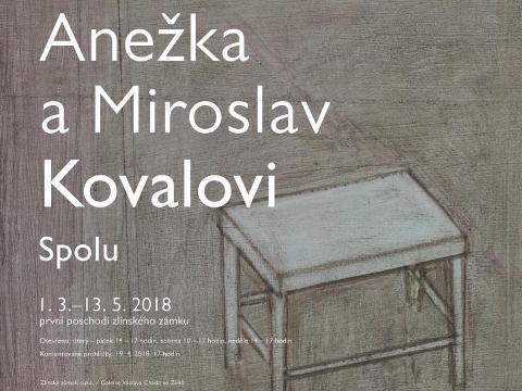 Ilustrační foto (Foto: Zlínský zámek)