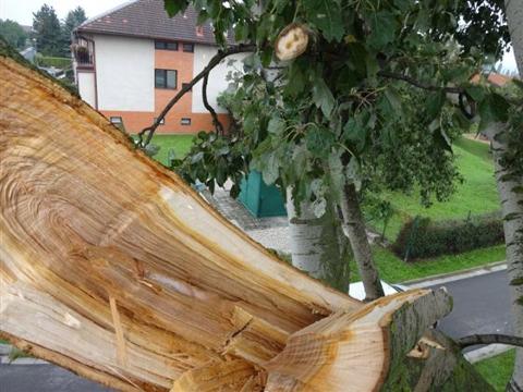 Foto: MěÚ Otrokovice