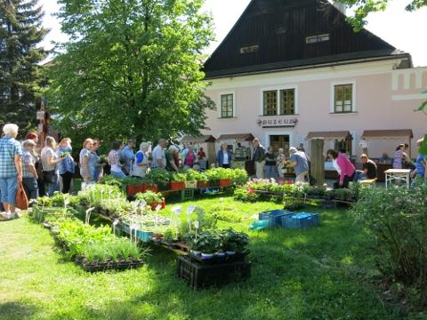 Ilustrační foto (Foto: MěÚ Valašské Klobouky)