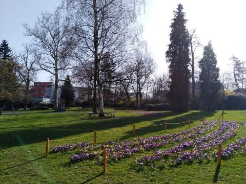 Ilustrační foto (Foto: MěÚ Zlín)