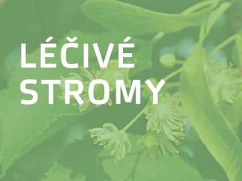Ilustrační foto (Foto: 14|15 Baťův institut)