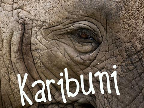 Ilustrační foto (Foto: Archiv ZOO Zlín)