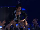 Nick Cave (Foto: MKUH)