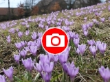 Foto: Zlin.cz