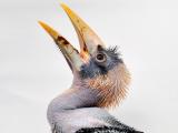 Foto: Archiv ZOO Zlín