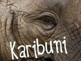 Ilustrační foto (Foto: Archiv ZOO Zlín)
