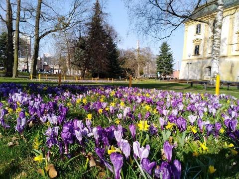 Ilustrační foto (Foto: MěÚ Zlín)