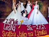 Ilustrační foto (Foto: ZOO a zámek Zlín - Lešná)