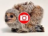 Foto: Archiv ZOO Zlín