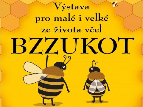 Ilustrační foto (Foto: MKS Holešov)