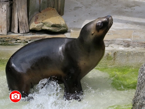 Foto: Archiv ZOO Zlín