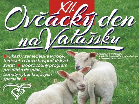 Ilustrační foto (Foto: MěÚ Rožnov pod Radhoštěm)