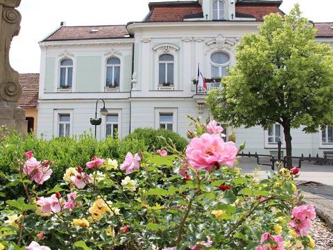 Ilustrační foto (Foto: MěÚ Valašské Klobouky)