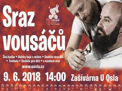 Sraz vousáčů (Foto: www.vychodni-morava.cz)