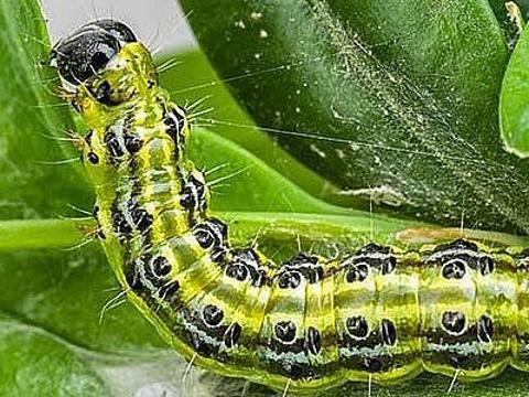 Ilustrační foto (Foto: MěÚ Zlín)