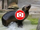 Foto: Archiv ZOO Zlín