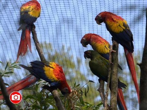Foto: Archiv ZOO Zlín