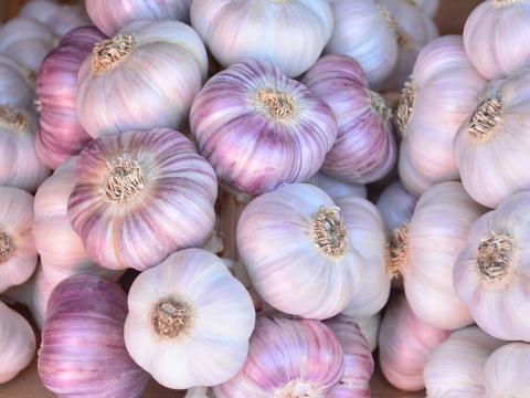 Ilustrační foto (Foto: CCRVM)