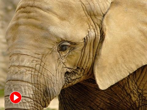 foto: archiv Zoo Zlín