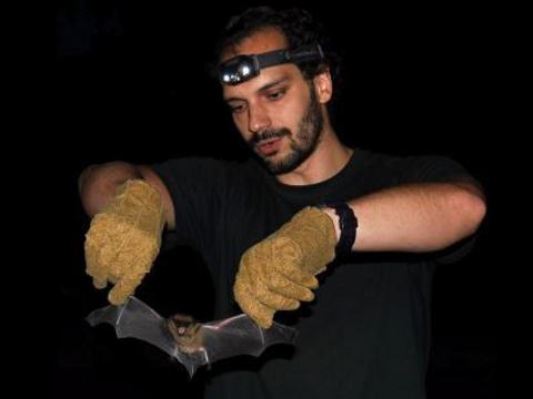 Ilustrační foto (Foto: CCRVM)