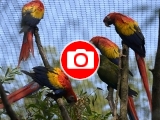 Foto: Archiv ZOO Zlín